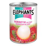 Chôm chôm - Rambutan in Syrup Twin Elephant  565gr