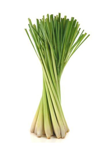 Fresh Lemongrass - Hierba Limon - Limoncillo - Citronela 1kg - Solamente enviamos los lunes